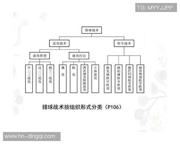 武汉排球队的节奏打法深度解析与战术创新探讨